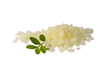 Lensli Chios mastic gözyaşları (Pistacia mercimek yaprakları), beyaz arkaplanda sakız damlaları