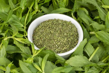 Beyaz bir arka plan üzerinde taze ve kuru nane