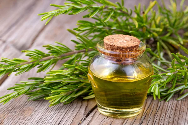 Fresh organic rosemary with essential oil