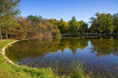 Makedonya - Üsküp, 29 Ekim 2023, Üsküp şehir parkı ve sonbaharda ağaçlarda sararmış yapraklar