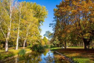 Makedonya - Üsküp, 29 Ekim 2023, Üsküp şehir parkı ve sonbaharda ağaçlarda sararmış yapraklar