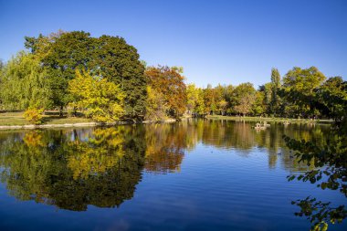 Makedonya - Üsküp, 29 Ekim 2023, Üsküp şehir parkı ve sonbaharda ağaçlarda sararmış yapraklar