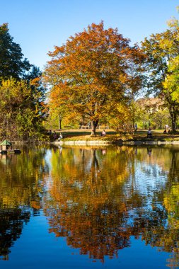 Makedonya - Üsküp, 29 Ekim 2023, Üsküp şehir parkı ve sonbaharda ağaçlarda sararmış yapraklar