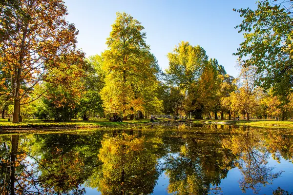 Makedonya - Üsküp, 29 Ekim 2023, Üsküp şehir parkı ve sonbaharda ağaçlarda sararmış yapraklar