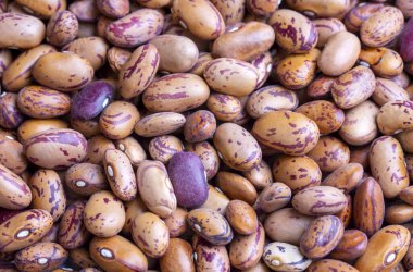 Baklagiller; Roma fasulye kurumuş. Kuru pinto fasulye.