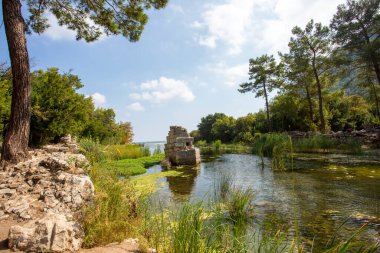 Türkiye 'nin Olimpos kentindeki Lycian kasabasının antik kalıntılarına bakın.