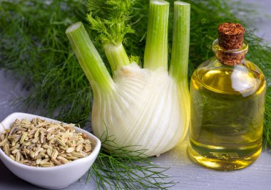 Rezene önemli petrol taze yeşil rezene twigs ve rezene tohum içinde belgili tanımlık geçmiş ile bir şişe