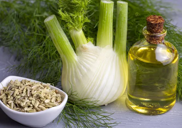 A bottle of fennel essential oil with fresh green fennel twigs and fennel seeds in the background