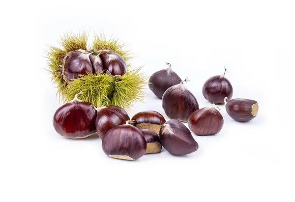 stock image Ripe chestnuts close up. Raw Chestnuts for Christmas. Fresh sweet chestnut. Castanea sativa top wiew