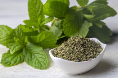 Dried mint and green fresh mint isolated