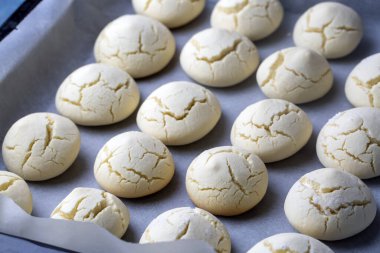 Traditional Delicious Turkish dessert; flour cookie (un kurabiyesi)