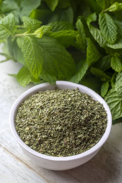 Dried mint and green fresh mint isolated
