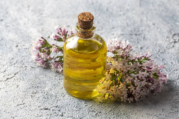 Essential oil in bottle with blooming valerian plant