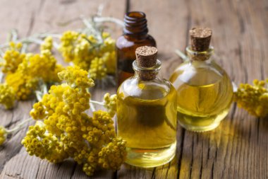 Helichrysum Arenaryum Petrol Şifalı Bitki Fabrikası.