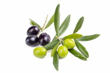 Beyaz arka planda yeşil organik zeytin