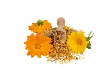 Taze ve kuru calendula officinalis bitkisel çiçekler