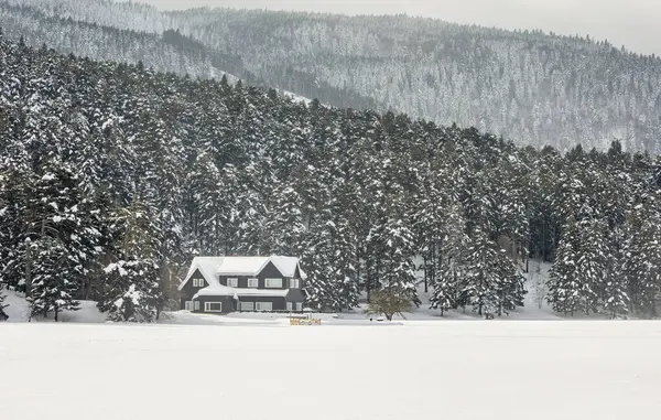 Gölcük / Bolu / Türkiye, kış kar manzara. Seyahat kavramı fotoğraf. 