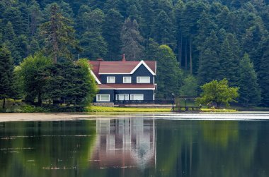 Seyahat konsepti fotoğrafı. Türkiye Bolu Golcuk göl manzarası.