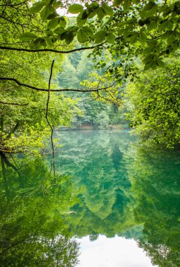 Lake hidden in the forest. Turkey Bolu Yedigoller. Outdoors lake view