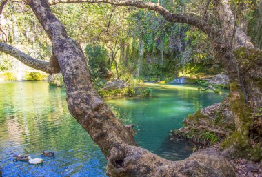 Türkiye Antalya Kursunlu Şelale manzarası