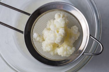 Kefir, kefir taneli mayalanmış süt içeceği. Ev yapımı kefir bir bardakta duruyor, kefir taneleri ve sütün yanında.