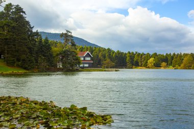 Seyahat konsepti fotoğrafı. Türkiye Bolu Golcuk göl manzarası.