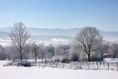 Bolu / kış kar sezonu Türkiye, peyzaj. Seyahat kavramı fotoğraf. 