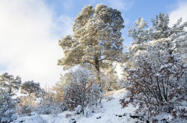 Türkiye İzmir Kara Gölü (Karagol) kış manzarası (İzmir Yamanlar)