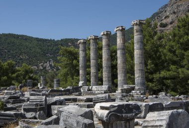 Antik Yunan kenti Priene 'deki Athena Tapınağı kalıntıları, Türkiye / Aydın