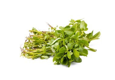 Beyaz arka planda taze yeşil purslane sebzesi.