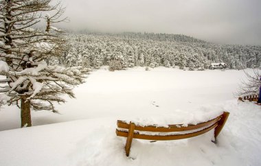 Golcuk - Bolu - Turkey, winter snow landscape. Travel concept photo.