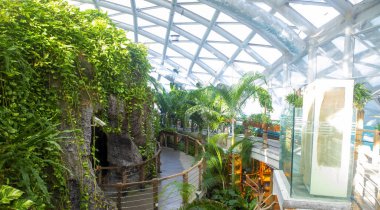 Konya - Türkiye, 19 Kasım 2022, Konya Tropikal Kelebek Bahçesi, Avrupa 'nın en büyük kelebek uçuş alanına ve Türkiye' nin ilk bahçesidir..