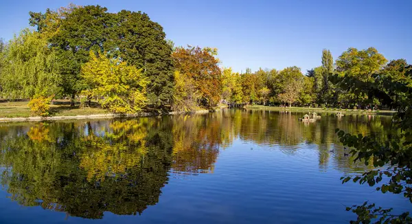 Makedonya - Üsküp, 29 Ekim 2023, Üsküp şehir parkı ve sonbaharda ağaçlarda sararmış yapraklar