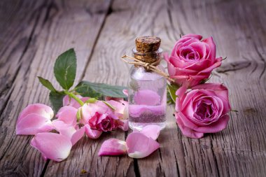 Pembe gül ve gül yağı