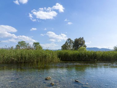 Türkiye Akyaka Azmak Nehri, seyahat konsepti fotoğrafı, manzara 