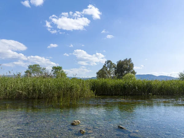 Türkiye Akyaka Azmak Nehri, seyahat konsepti fotoğrafı, manzara 