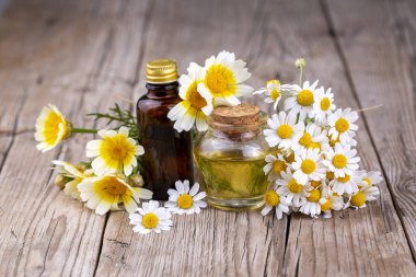 Essential oil in glass bottle with fresh chamomile flowers and variete herbal, beauty treatment.