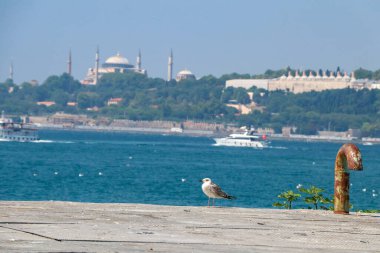 İstanbul manzarası Bakire Kulesi 'ndeki Boğaz' dan