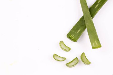 Beyaz arkaplanda taze aloe vera