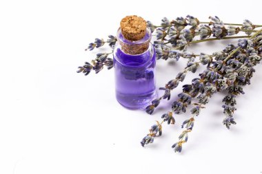 Temel lavanta çiçeği yağı ve kurutulmuş lavanta çiçekleri..