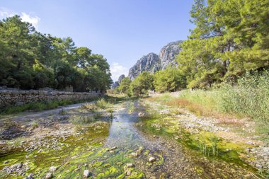 Türkiye 'nin Olimpos kentindeki Lycian kasabasının antik kalıntılarına bakın.