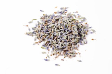 Beyaz arka planda kurumuş lavanta çiçeği