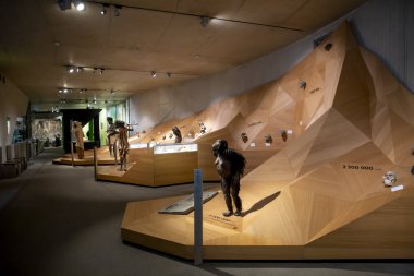 Düsseldorf, Almanya, 16 Şubat 2024, Neanderthal Müzesi