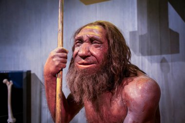 Düsseldorf, Almanya, 16 Şubat 2024, Neanderthal Müzesi