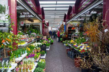 Düsseldorf - Almanya - 15 Şubat 2024, Carlsplatz pazarındaki çiçekçi tezgahı - tezgahların satıldığı açık alan, sebze, çiçek, et ve sokak yemekleri