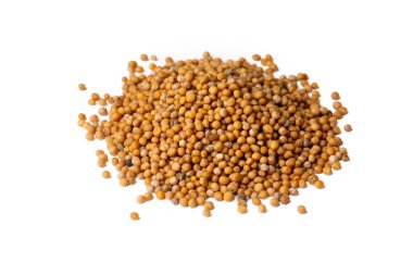 Beyaz zemin üzerinde organik hardal tohumu (Brassica nigra). 