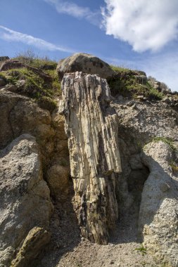 Yunanistan 'ın Lesvos adasındaki UNESCO Geopark 