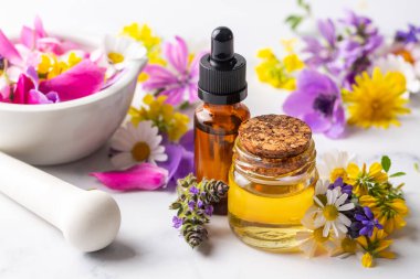 Alternatif bitkisel tıp kavramı. Tentür veya iksir şişeleri, organik gerekli yağlar, kurutulmuş sağlıklı otlar, ahşap masada çiçek özü. Kozmetik üretimi için tamamen doğal malzemeler.