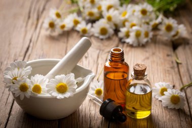 Cam şişedeki temel yağ taze papatya çiçekleri, güzellik tedavisi..