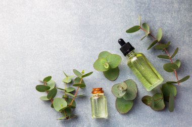 Okaliptüs yaprakları ve gerekli yağ 